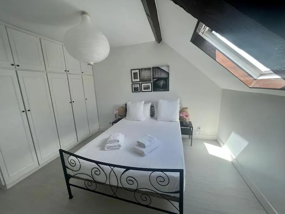 Apartmán Maison Faure - Centre Ville - Jardin - Garage Vichy Francie